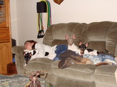 Enlarge photo 8