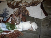Enlarge photo 12