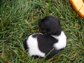 Enlarge photo 37