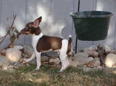 Enlarge photo 6