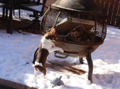 Enlarge photo 11