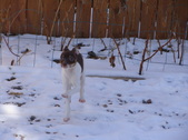 Enlarge photo 13