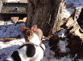 Enlarge photo 15