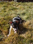 Enlarge photo 15