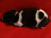 Enlarge photo 23