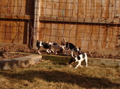 Enlarge photo 20