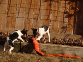 Enlarge photo 12