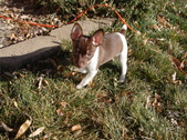 Enlarge photo 32