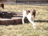 Enlarge photo 21
