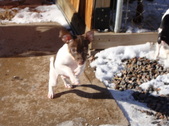 Enlarge photo 25