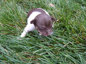 Enlarge photo 37