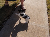 Enlarge photo 8