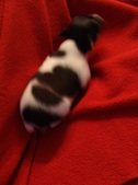 Enlarge photo 20