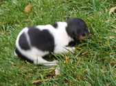 Enlarge photo 14
