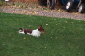 Enlarge photo 2