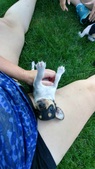 Enlarge photo 10