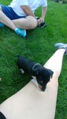 Enlarge photo 9