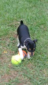 Enlarge photo 7