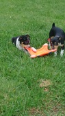 Enlarge photo 6
