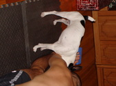 Enlarge photo 41