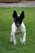 Enlarge photo 22