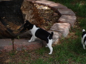 Enlarge photo 8