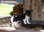 Enlarge photo 22