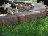 Enlarge photo 23
