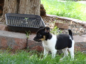 Enlarge photo 6