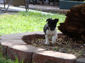 Enlarge photo 5