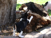 Enlarge photo 28