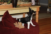 Enlarge photo 33