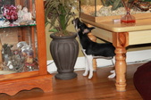 Enlarge photo 35
