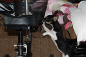 Enlarge photo 40