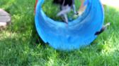 Enlarge MOV 30