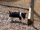 Enlarge photo 11