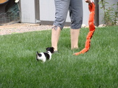 Enlarge photo 29