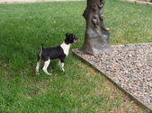 Enlarge photo 6