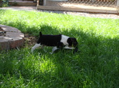 Enlarge photo 19