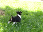 Enlarge photo 18