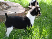 Enlarge photo 15
