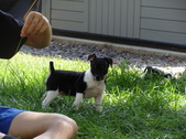 Enlarge photo 9