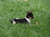 Enlarge photo 34
