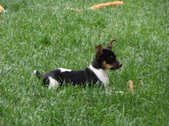 Enlarge photo 38