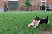 Enlarge photo 10