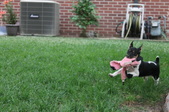 Enlarge photo 11