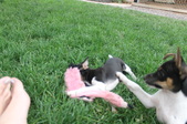 Enlarge photo 18