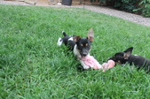Enlarge photo 15