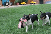Enlarge photo 14
