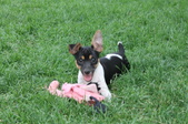 Enlarge photo 16